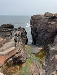 IMG_8648