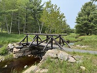 IMG_8646