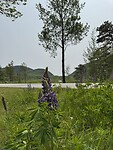 IMG_8642