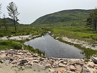 IMG_8641