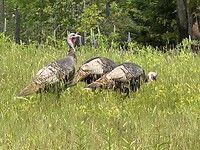 IMG_8627