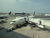 IMG_8810