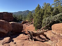 IMG_9749