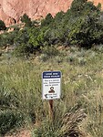IMG_9758