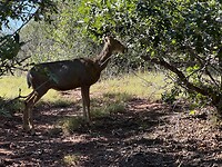 IMG_9763