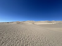 IMG_9786