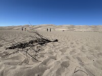 IMG_9789