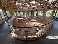 IMG_9818