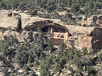 IMG_9854