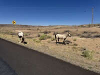IMG_9880