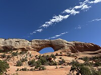 IMG_9889