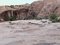 IMG_9912