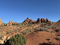 IMG_9971