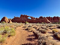 IMG_9978