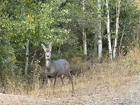 IMG_0048