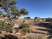 IMG_0068