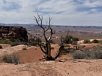 IMG_0114