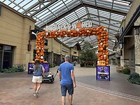 IMG_0169