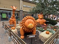 IMG_0171
