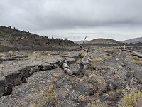 IMG_0317