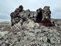 IMG_0322