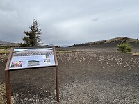 IMG_0326