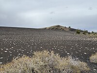 IMG_0325