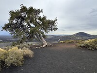 IMG_0331