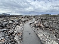 IMG_0344
