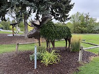 IMG_0385