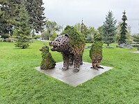 IMG_0387