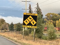 IMG_0404