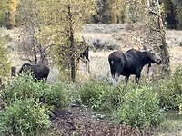 IMG_0406