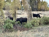 IMG_0407