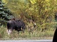 IMG_0424