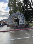 IMG_0441