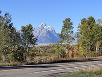 IMG_0507