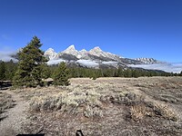 IMG_0523