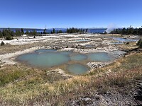 IMG_0542