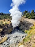 IMG_0564