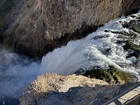 IMG_0600