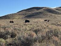 IMG_0614