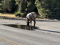 IMG_0618