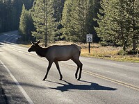 IMG_0621