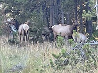 IMG_0626