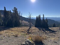 IMG_0635