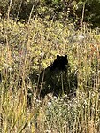 IMG_0646