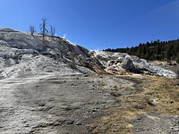 IMG_0677
