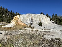 IMG_0694