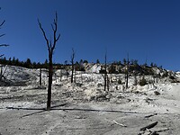 IMG_0699
